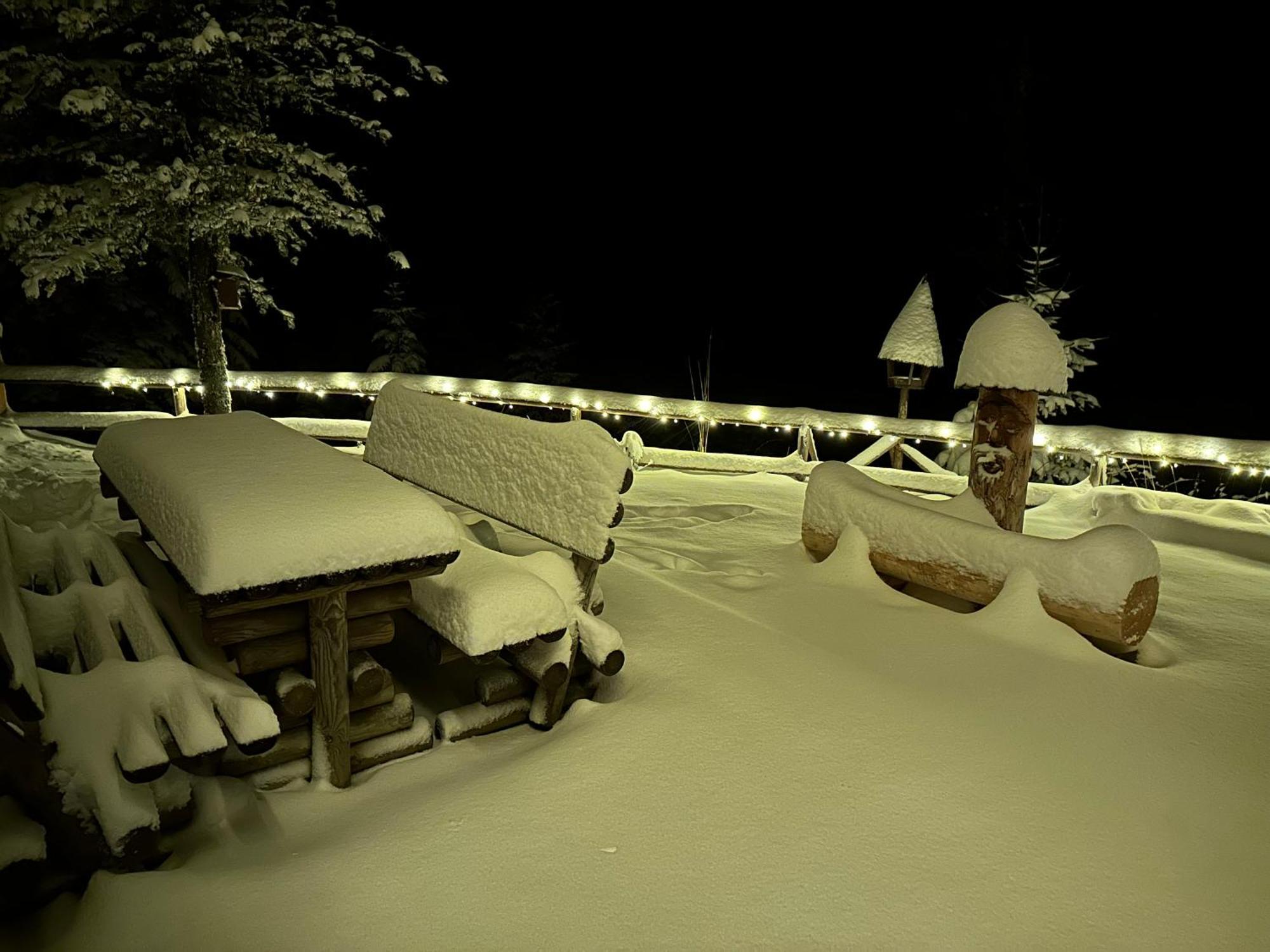 Almhaus Zirbenheim Nicolina Villa Flattnitz ภายนอก รูปภาพ